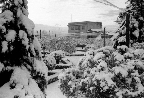 Nieve en la plaza y edificio de fondo